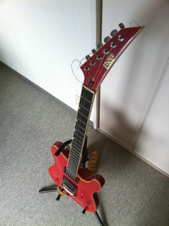 esp02.jpg
